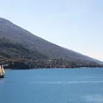 Maximilian Malcesine